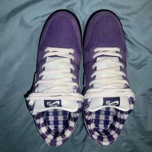 nike dunk purple lobster